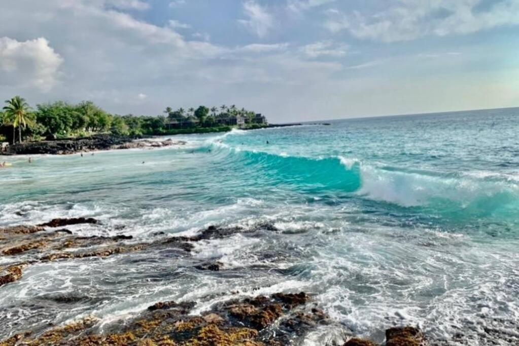 White Sands Village, Upgraded 2br, Great View Apartamento *